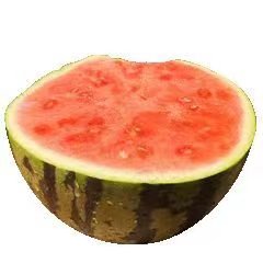 watermelon